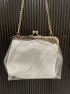 CLEAR CROSSBODY POUCH