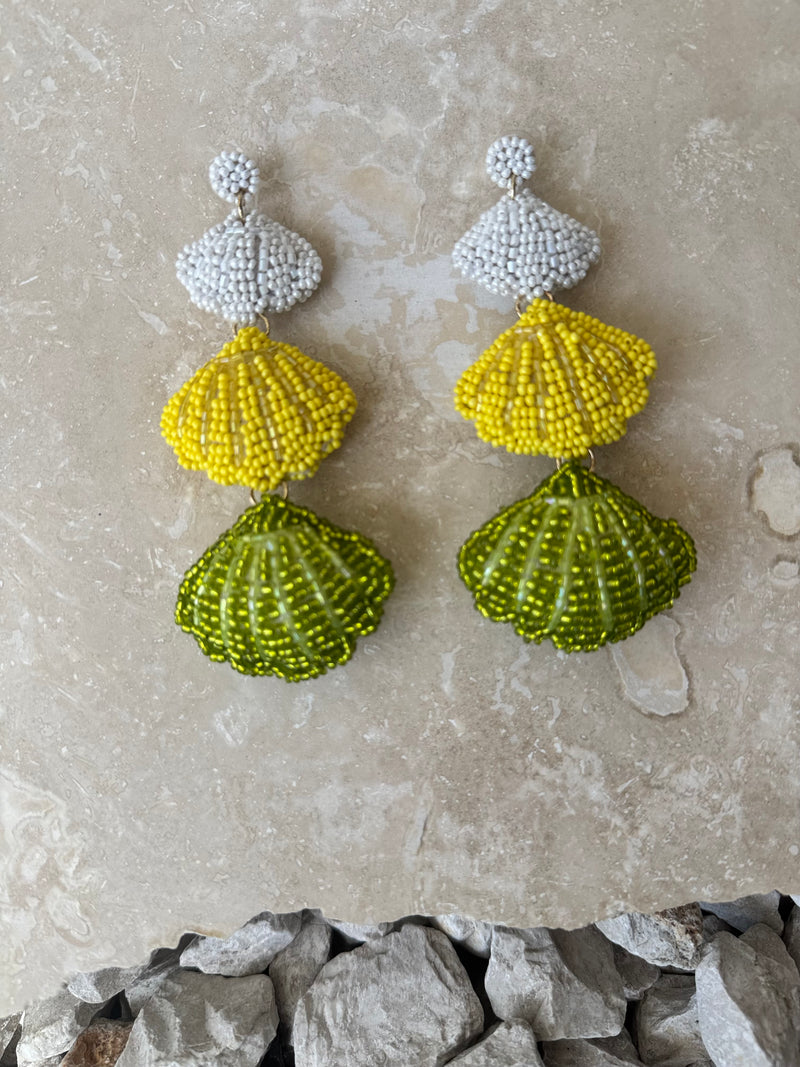 CITRUS SEASHELL EARRING