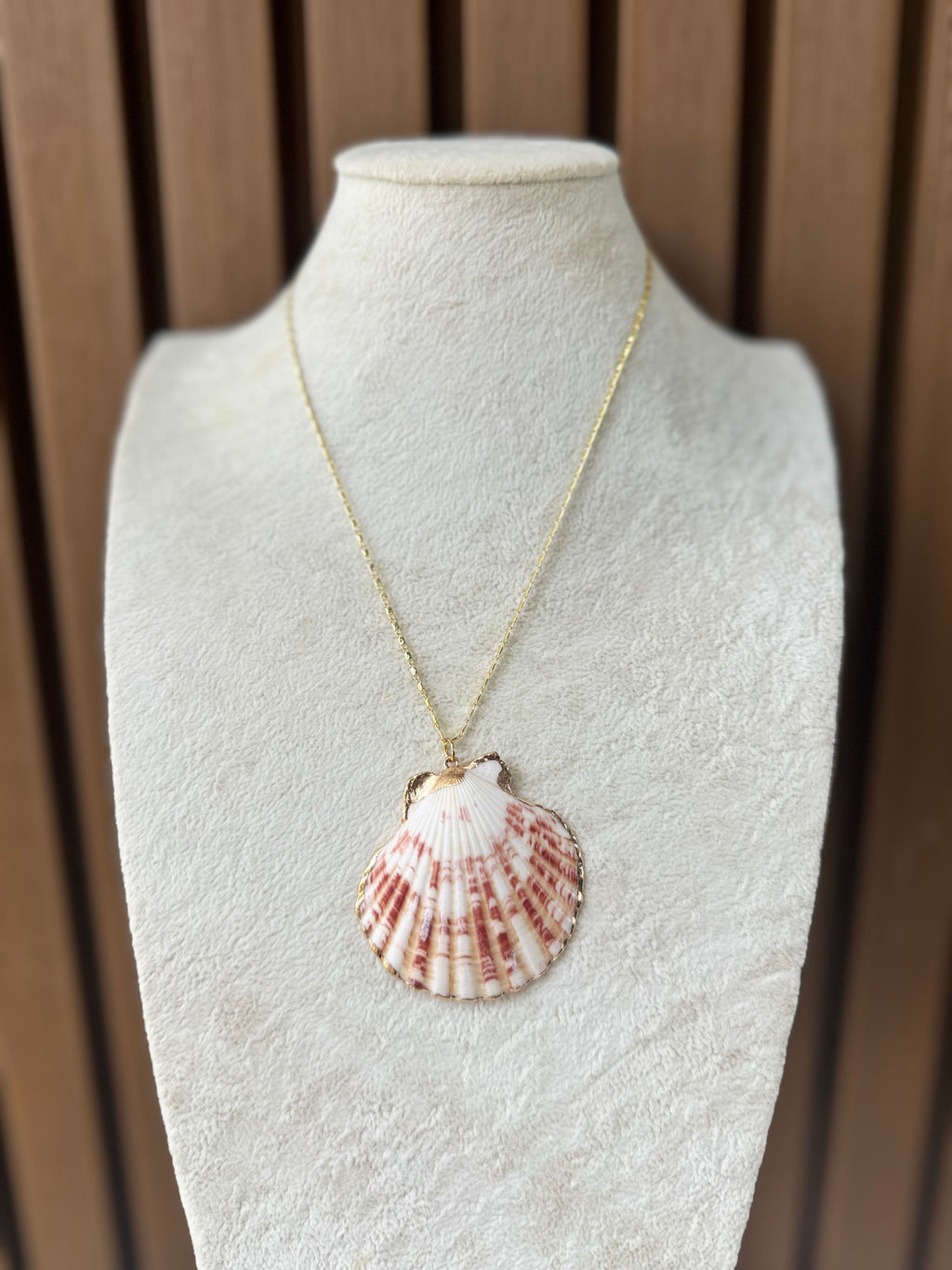 M3 CHAIN SHELL