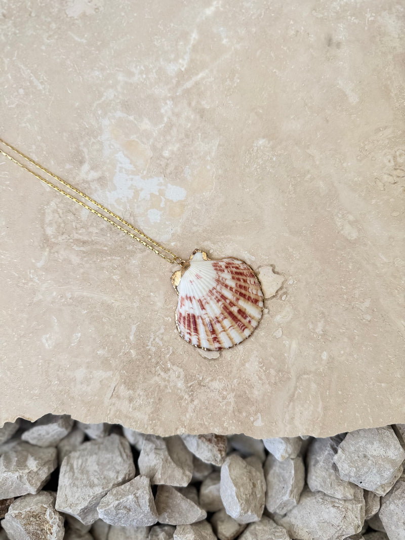 M3 CHAIN SHELL