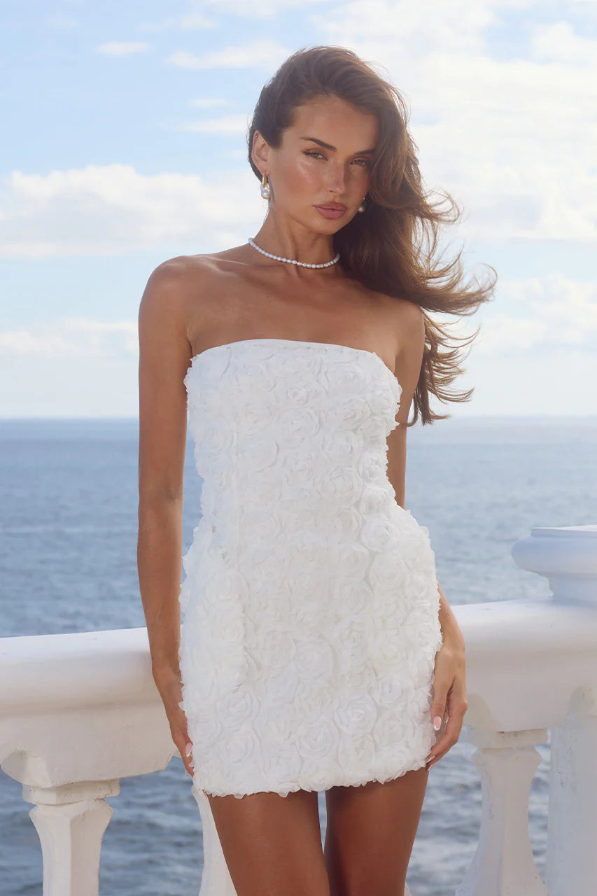 knee length dresses for ladies RUNAWAY THE LABEL Rosaline Mini Dress – 27 Boutique main image 1