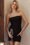 MESH BEADS MINI TUBE TOP DRESS