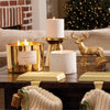 Frasier Fir Gilded Poured Candle, 3-wick Gold